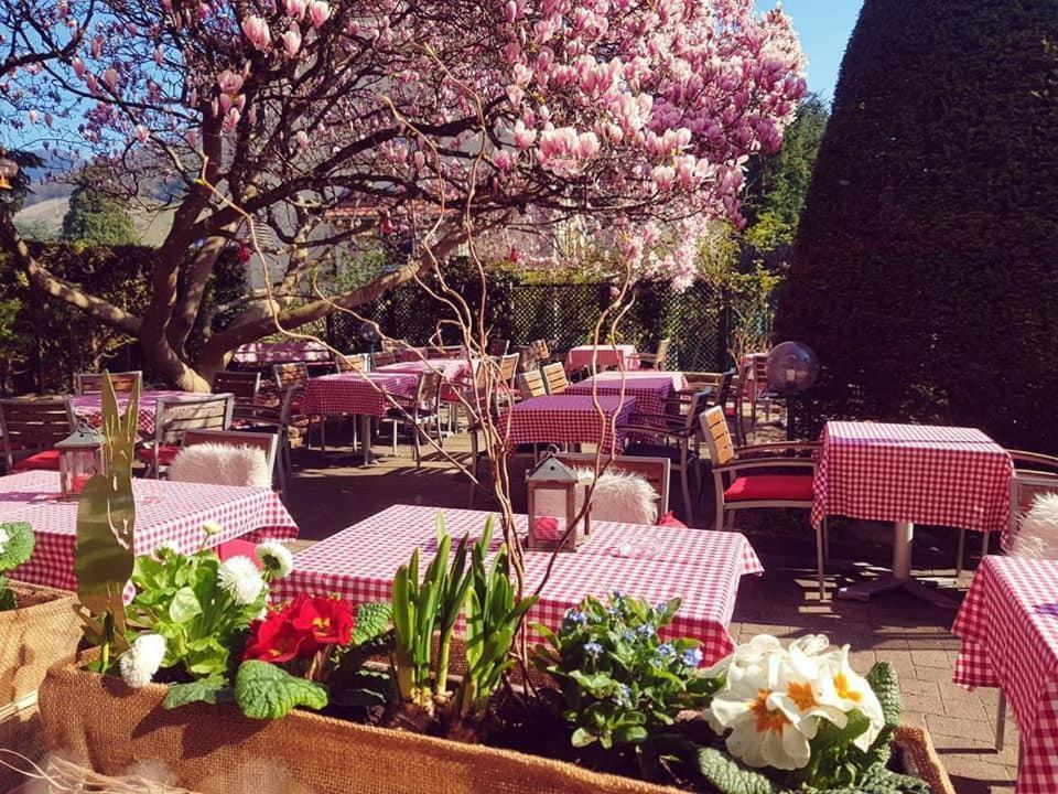 תאן Hotel Restaurant Aux Sapins מראה חיצוני תמונה