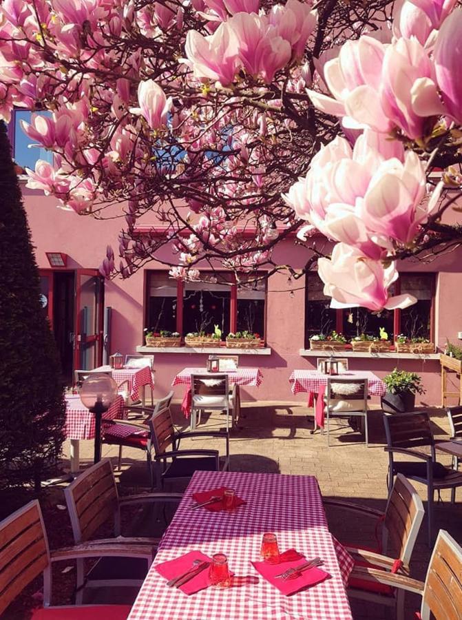תאן Hotel Restaurant Aux Sapins מראה חיצוני תמונה